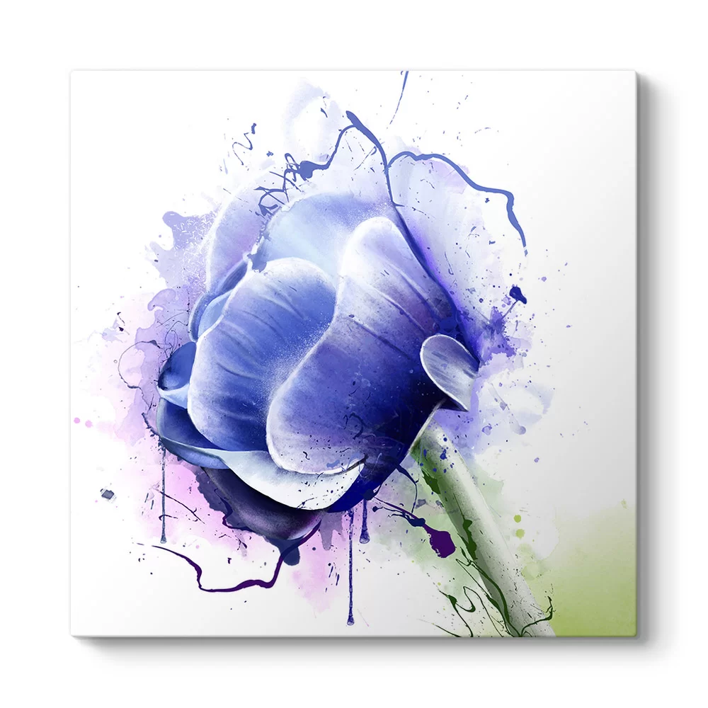 Anemone Çiçeği Tablosu - Model 3